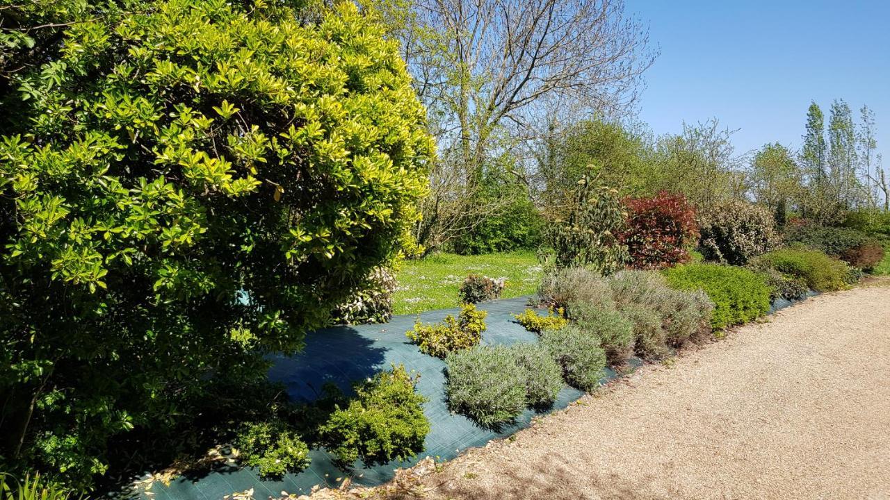 La Demeure Du Goupil Bed & Breakfast Brissac-Quince ภายนอก รูปภาพ